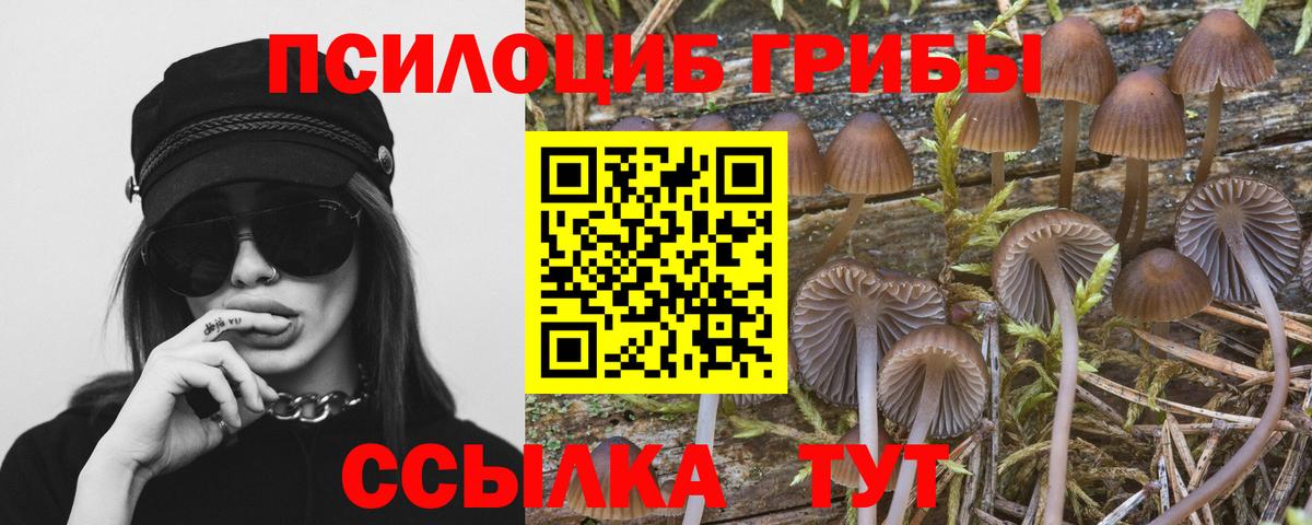 Галлюциногенные грибы ЛСД  Вход с VPN  Галлюциногенные грибы ЛСД  Кашира 