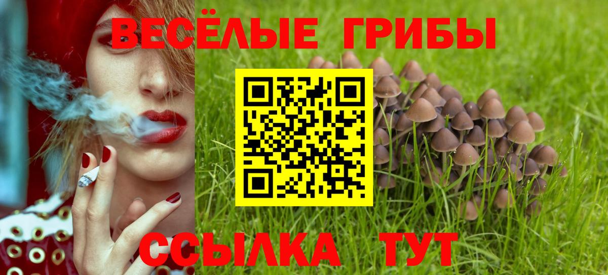 Псилоцибиновые грибы Cubensis Кашира